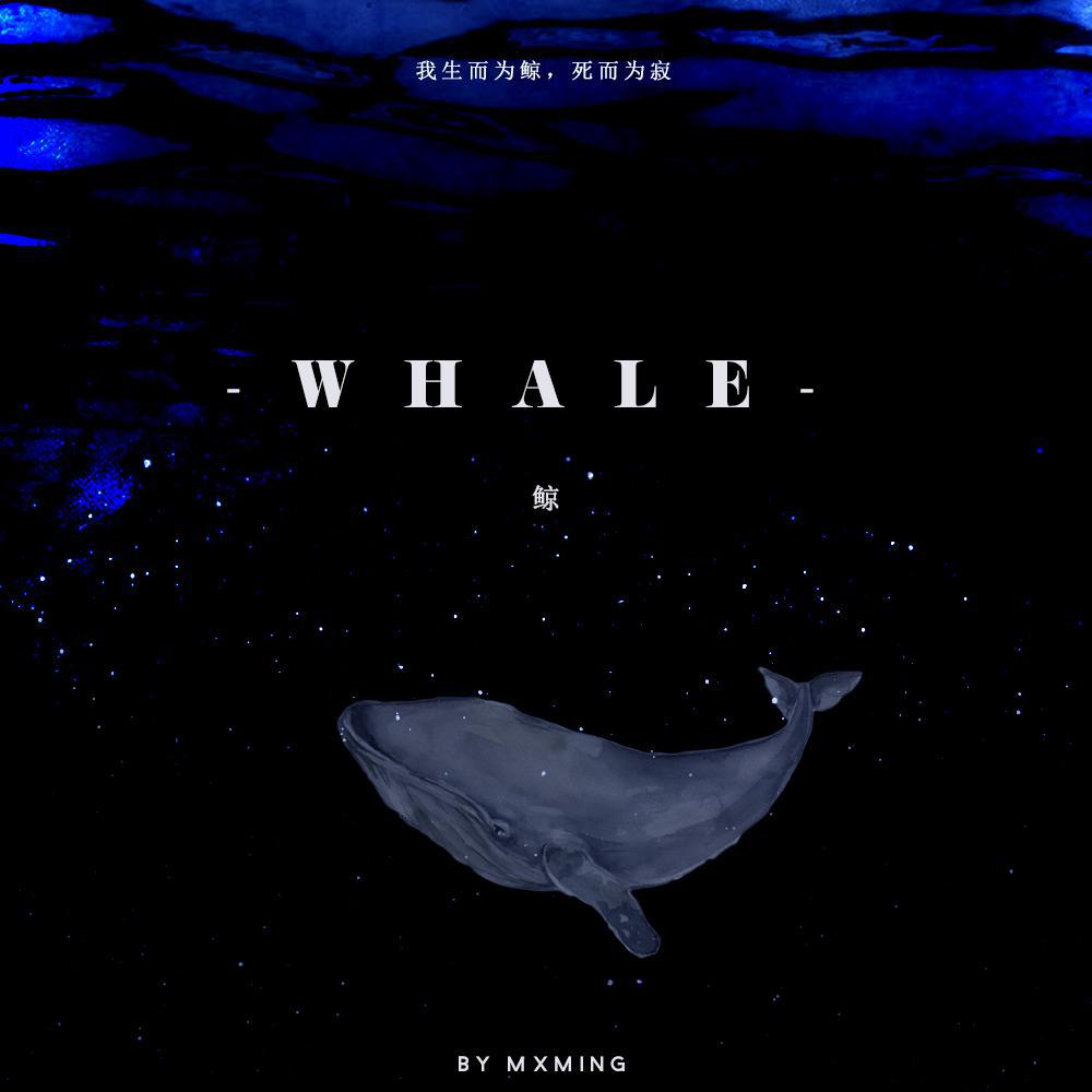祝一可《鲸（whale）》歌词