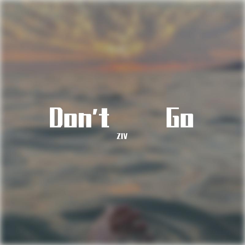 ZIV《Don’t Go》歌词