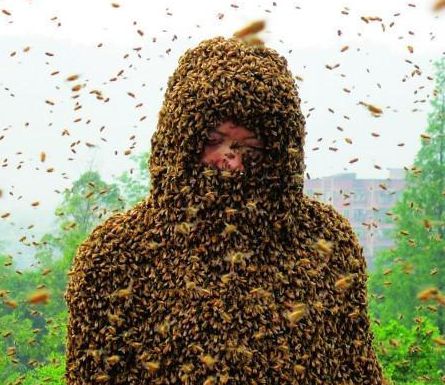 男子外出游玩，为表演浑身涂满蜜蜂，下一秒人群中沸腾