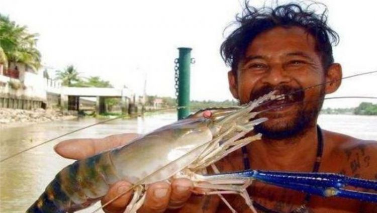 湄公河闹“虾灾”，渔民烦恼不已，网友：找中国人帮忙啊