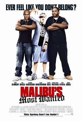 马里布绑票案 Malibu’s Most Wanted