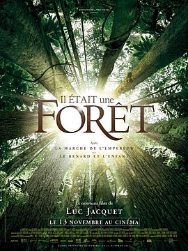 从前有座森林 Il était une Forêt