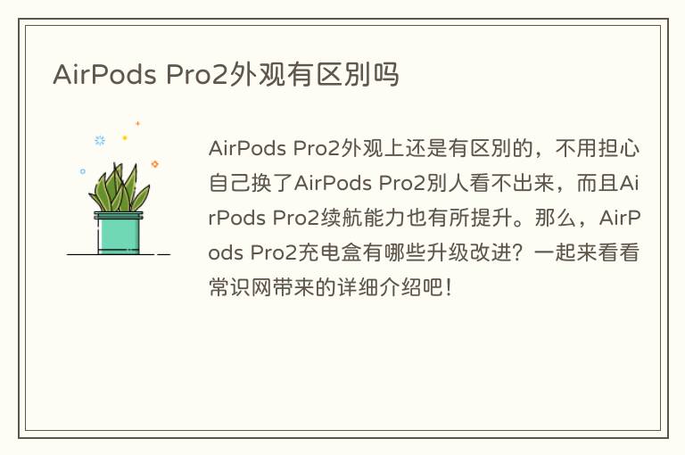 AirPods Pro2外观有区别吗