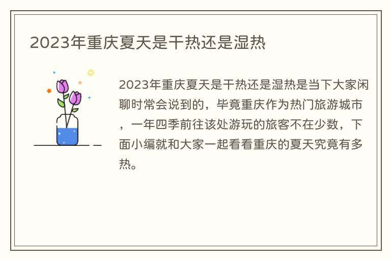 2023年重庆夏天是干热还是湿热