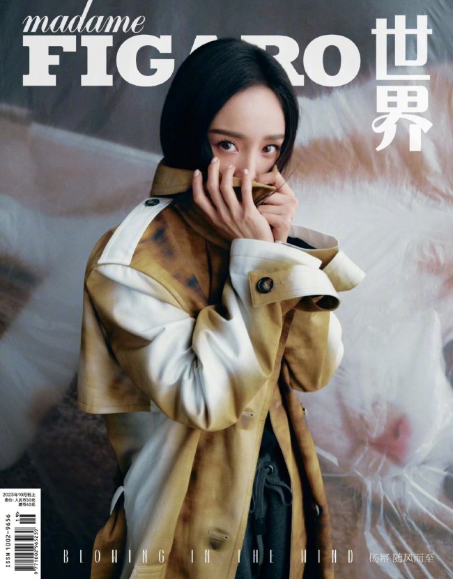 杨幂费加罗十月刊封面 紧身黑裙勾勒玲珑曲线