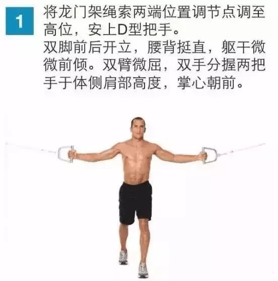 完美胸肌训练方法