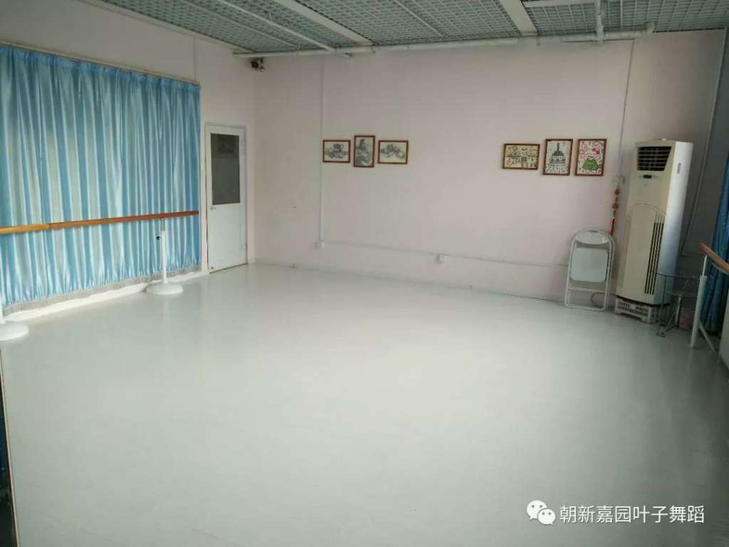 北京叶子舞蹈艺术中心加盟华视搜星《星梦工厂》影视艺术人才孵化基地